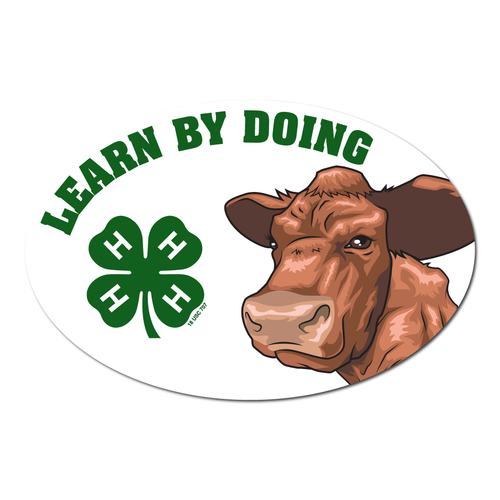 4-H Magnet - Beef Cattle Learn by Doing