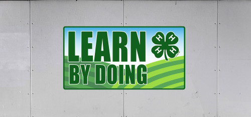 Learn By Doing 4-H Trailer Graphic