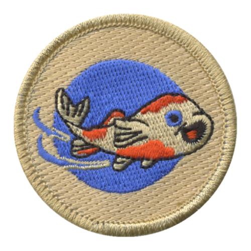 Cosmic Coi Fish Patch - embroidered 2 inch round by ClassB