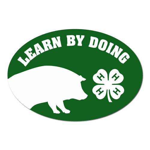 4-H Magnet - Pig Silhouette by ClassB