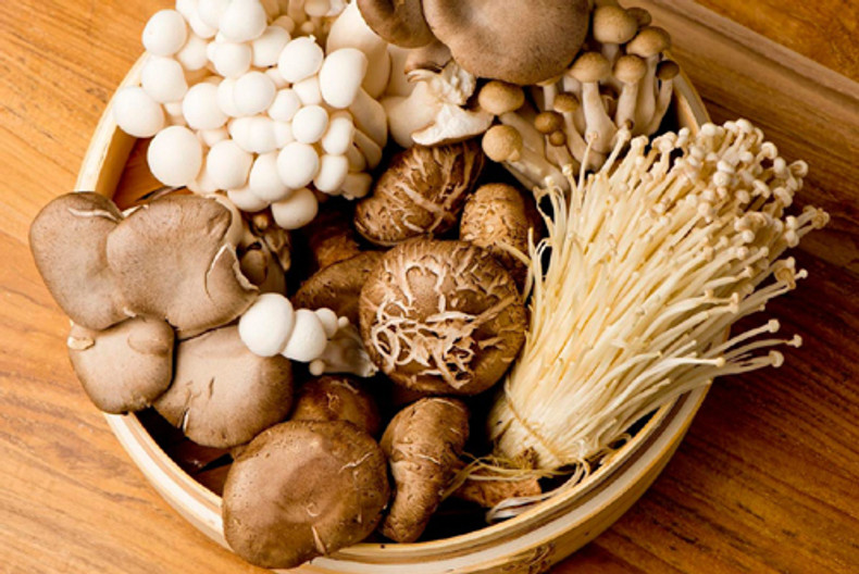 The Healthy Magic of Mushrooms