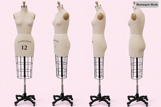 Professional Female Half Body Dress Form Size: 12