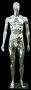 Chrome Plastic Male Egg Head Mannequin MM-PSSM1SCEG