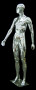Chrome Plastic Male Egg Head Mannequin MM-PSSM1SCEG