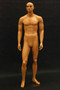 Male Mannequin Tan Skin Tone MM-HAM25