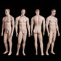 Male Mannequin Fleshtone MM-WEN5