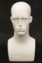 Male Display Head Item # MM-EraW2