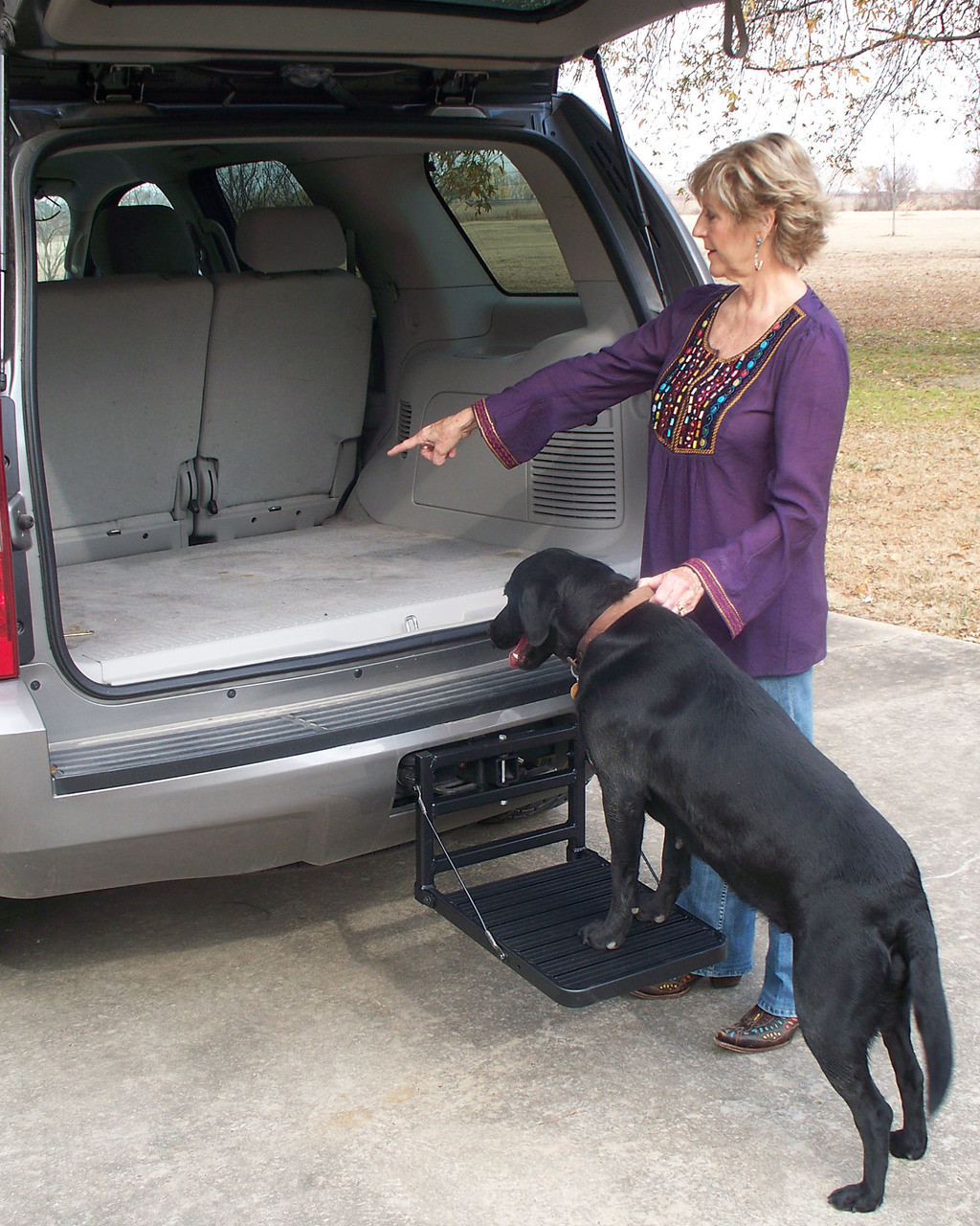 Hitch-Up Pet Step, Pet Ladder| Great Day HU200B - Main Image