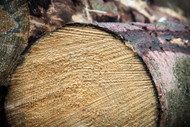 The Best Loggers Tapes of 2024: The Tools You Need for Precision Logging The Best Loggers Tapes of 2024: The Tools You Need for Precision Logging