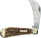 Schrade Schrade Hawkbill Pruner Next Gen SCH1135996