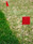 4" x 5" Pin Flags | with Wire Staff | Bundles of 100  4" x 5" Pin Flags | with Wire Staff | Bundles of 100