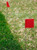 2" x 3" Pin Flags | with Wire Staff | Bundles of 100 2" x 3" Pin Flags | with Wire Staff | Bundles of 100