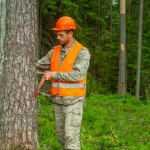 Tree Calipers