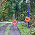 Logger Highway Signs