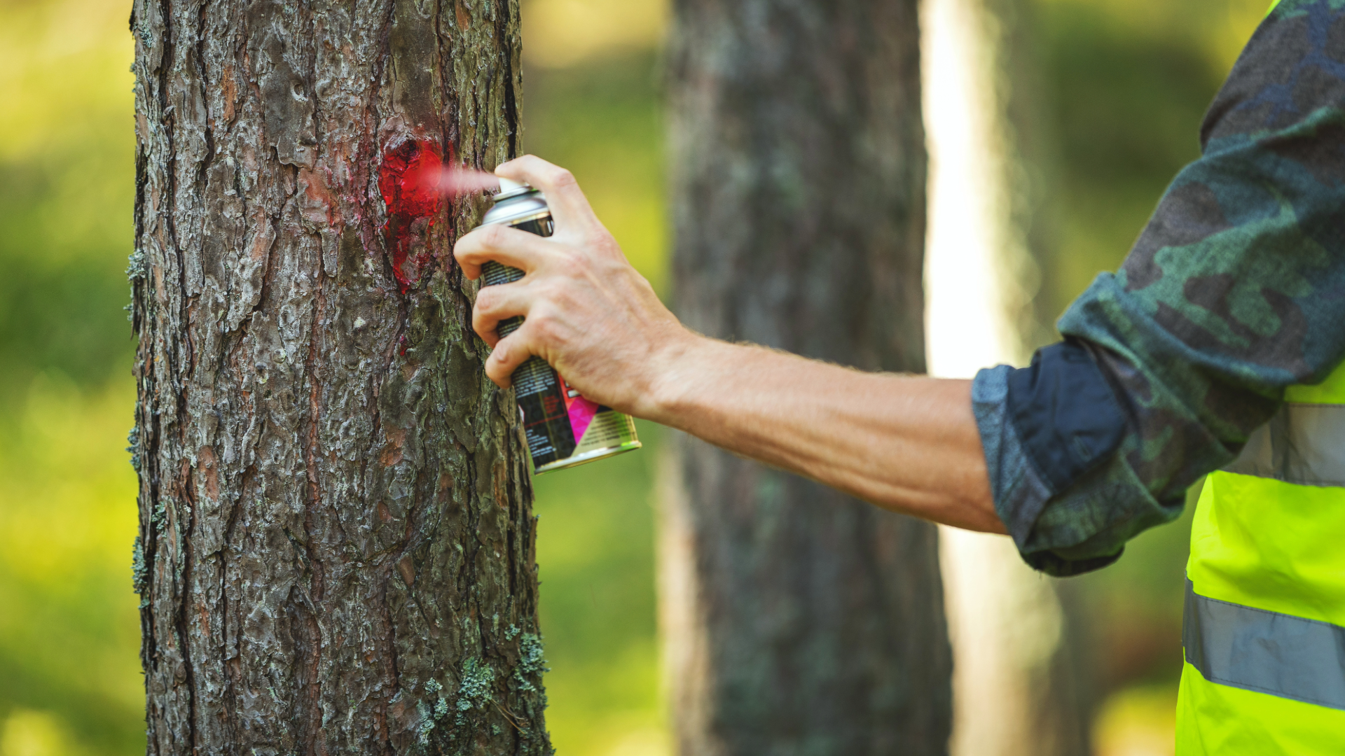 Tips for Choosing the Right Marking Paint Tips for Choosing the Right Marking Paint