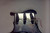 Fender Pickups and Pickguard 2018