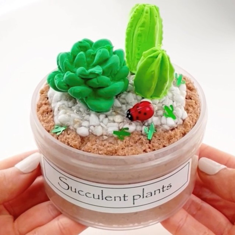 Succulent Plants Slime