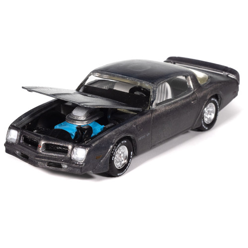 1976 Pontiac Firebird T/A  - Bare Metal Rust Patina Alt Image 1