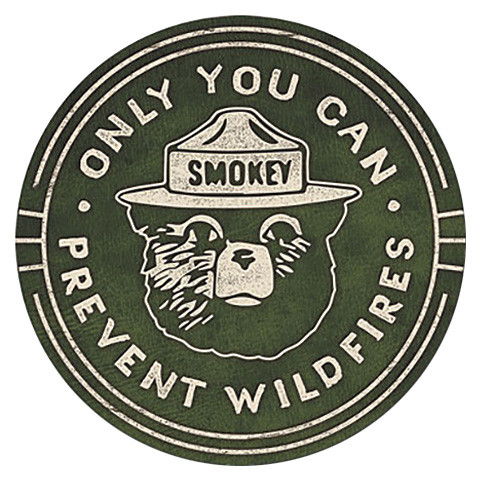 Smokey the Bear Metal Sign Main Image