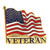 Veteran Flag Lapel Pin  P09621 (C002)  Main Image