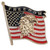 Freedom Eagle Lapel Pin 961111  Main Image