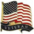 USA Veteran Wavy Lapel Pin Ruffin (249301)  Main Image