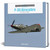 P-39 Airacobra  Main Image