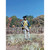 French Royal Duex-Ponts Sergeant 1/30 Figure - 1781     William Britain (16187) 1:30 Scale Alt Image 1