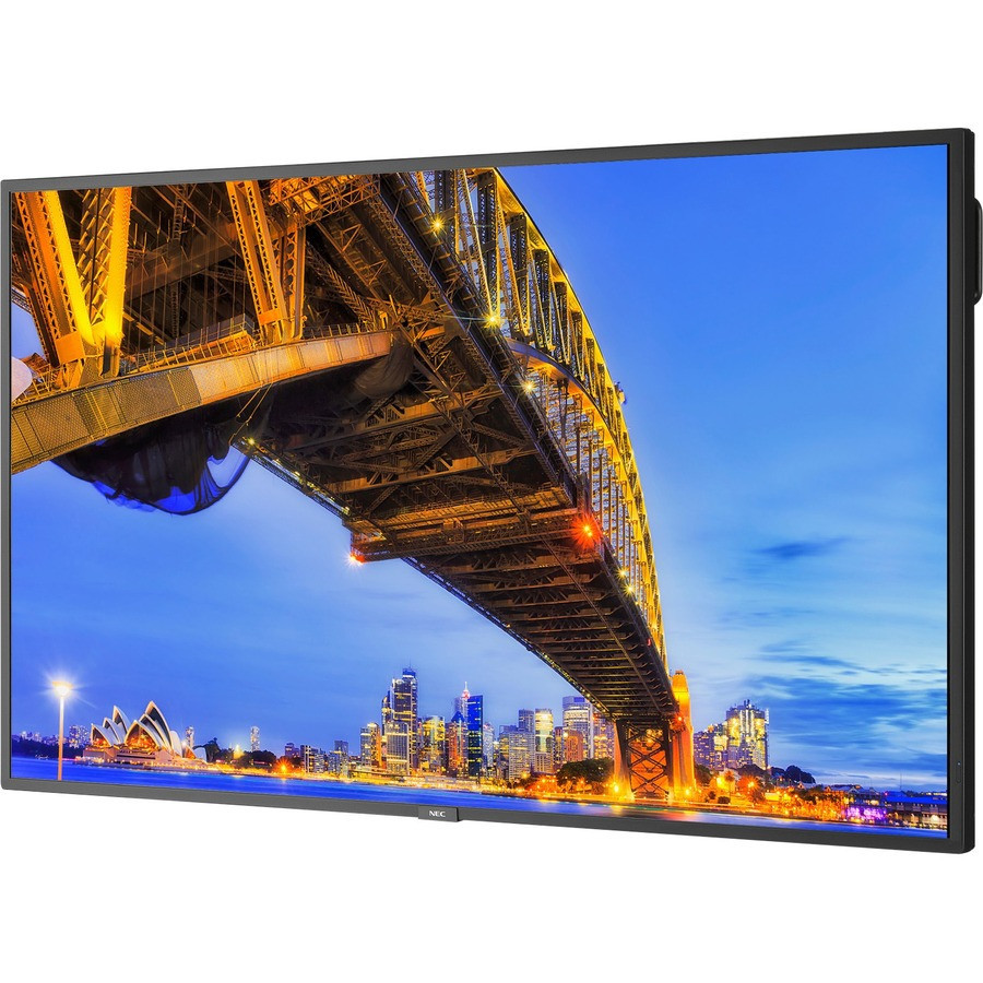 NEC Display 43