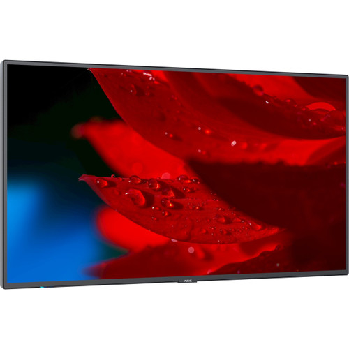 Main image for NEC Display 43" Wide Color Gamut Ultra High Definition Professional Display