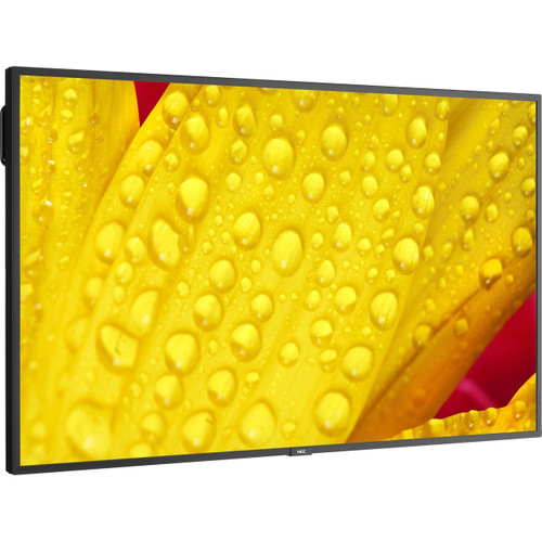 Main image for NEC Display 43" Ultra High Definition Commercial Display