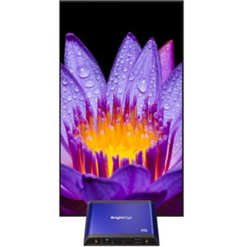 Main image for BrightSign XD235 Digital Signage Appliance