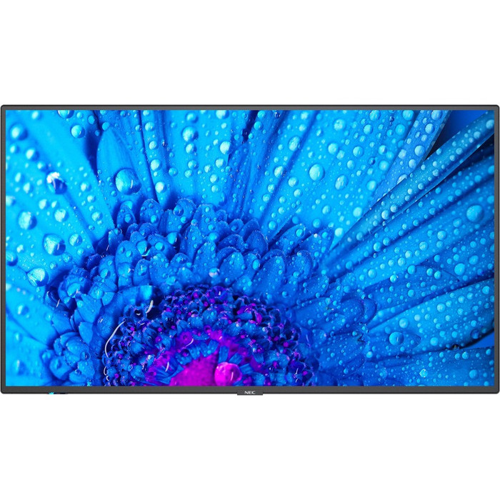 Front Image for NEC Display 65" Ultra High Definition Professional Display