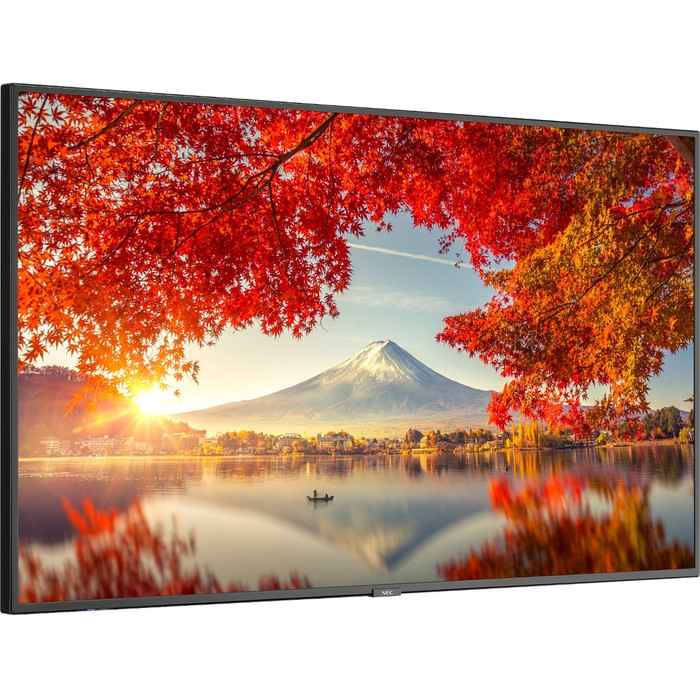 Main image for NEC Display 55" Wide Color Gamut Ultra High Definition Professional Display