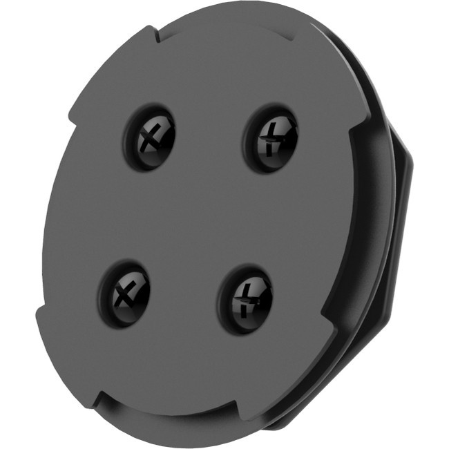 Main image for RAM Mounts Mounting Adapter for iPad