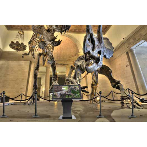 Alternate-Image1 Image for Peerless-AV Landscape Kiosk Fits 43" Displays Less Than 3.50" (89mm) Deep