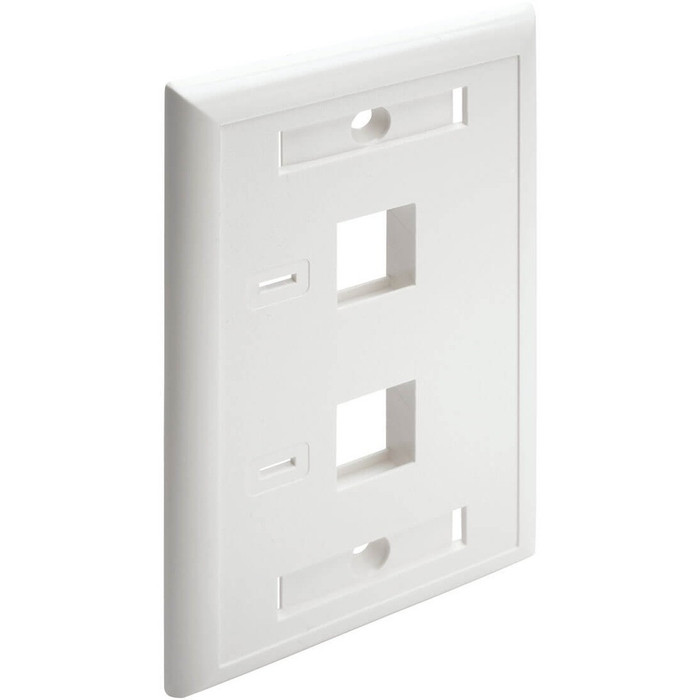 Main image for Tripp Lite 2-Port Dual Outlet RJ45 Universal Keystone Jack Face Plate TAA
