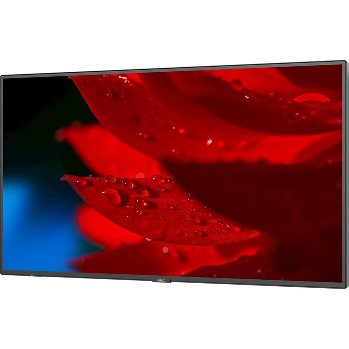 Alternate-Image2 Image for NEC Display 49" Wide Color Gamut Ultra High Definition Professional Display