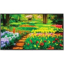 Alternate-Image3 Image for NEC Display MultiSync M651-MPI4E Digital Signage Display/Appliance