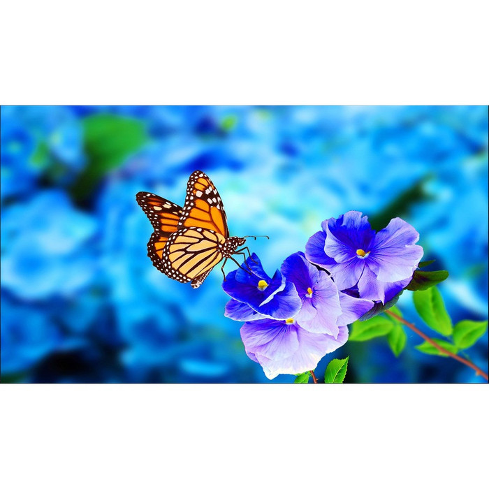 Front Image for NEC Display 55" Ultra-Narrow Bezel Professional-Grade Display