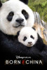 Disneynature: Born In China [Google Play] Transfers To Movies Anywhere, Vudu and iTunes