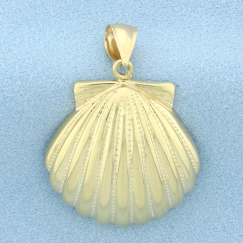 Seashell Pendant in 14k Yellow Gold