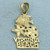 Diamond Cut Virginia Beach Sealife Pendant in 14k Yellow Gold