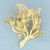Hummingbirds and Flowers Ruby and Diamond Brooch in 14k Yellow Gold