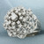 Diamond Starburst Ring in 14k White Gold