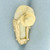 Vintage Large Animal Tooth Pin in 10k Yellow Gold