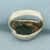 Jade Solitaire Ring in 14k White Gold