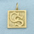 Confederate States Charm or Pendant in 10k Yellow Gold