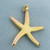 Starfish Pendant in 10k Yellow Gold