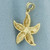 Starfish Pendant in 14k Yellow Gold